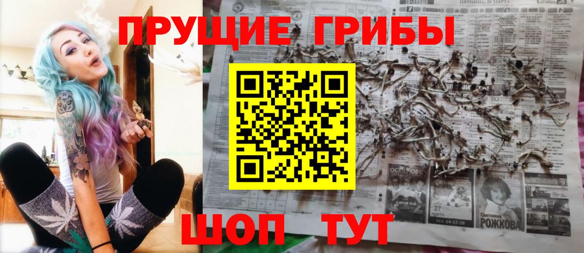Галлюциногенные грибы мицелий Соль-Илецк